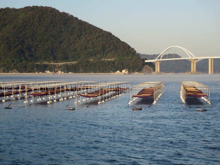 田島定置網観光・海苔養殖