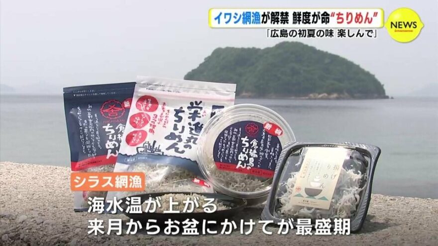 イワシ網漁が解禁　鮮度が命 “ちりめん” 「広島の初夏の味 楽しんで」