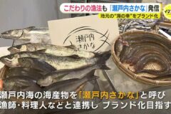 広島の「瀬戸内さかな」🐟 こだわりの漁師と料理人で発信へ　夏の “海の幸” を紹介