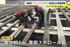 カキいかだの浮きを海ゴミにしない❗瀬戸内海で流出防止の新たな試みスタート