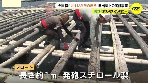 カキいかだの浮きを海ゴミにしない❗瀬戸内海で流出防止の新たな試みスタート