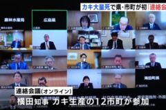 「状況はむしろ悪化している」カキ大量死問題で県と市町が初の連絡会議🦪